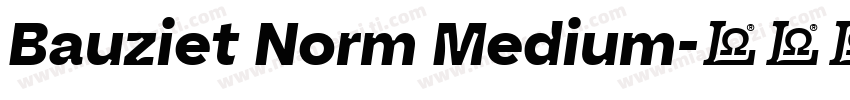 Bauziet Norm Medium字体转换